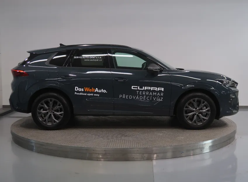Cupra Terramar 2.0TSI 150KW 4x4 DSG